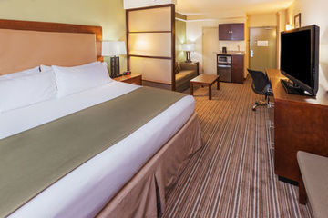 Holiday Inn Express Hotel & Suites Fort Worth Downtown