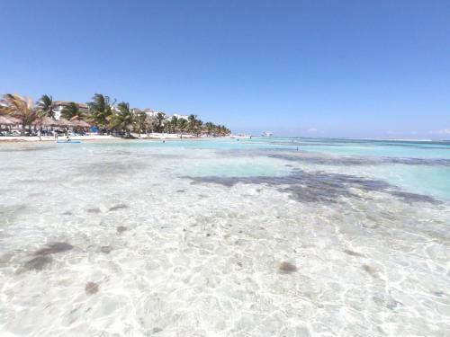 Lodge Palmeras De Mahahual
