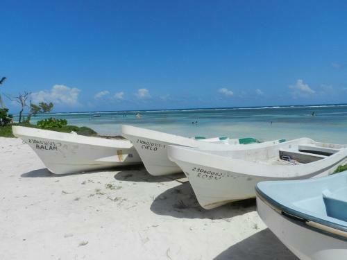 Lodge Palmeras De Mahahual