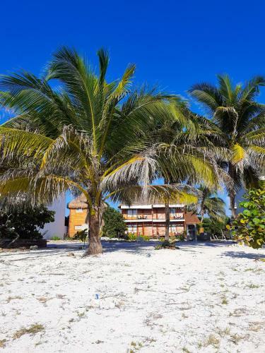 Lodge Palmeras De Mahahual