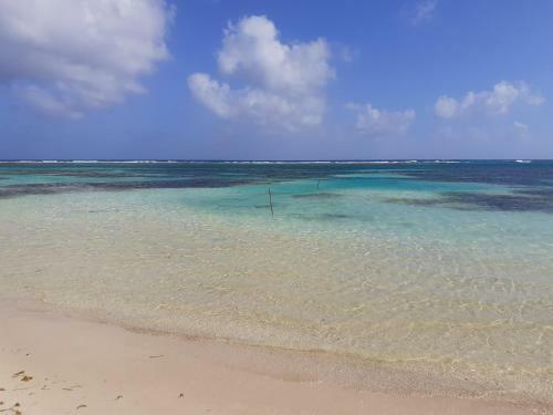 Lodge Palmeras De Mahahual