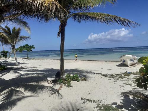 Lodge Palmeras De Mahahual