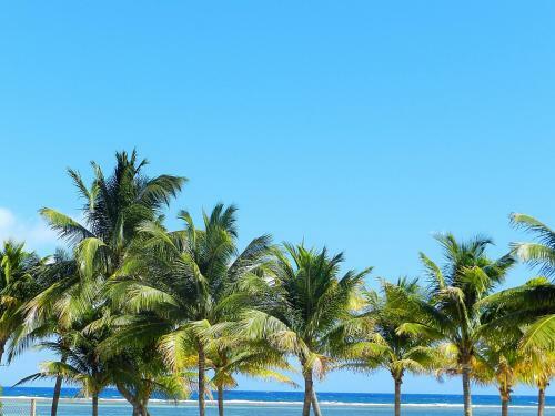 Lodge Palmeras De Mahahual