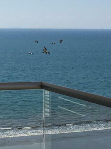 Apartamento Ambassador Pent House