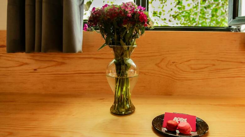 Hotel Agrado Guest House