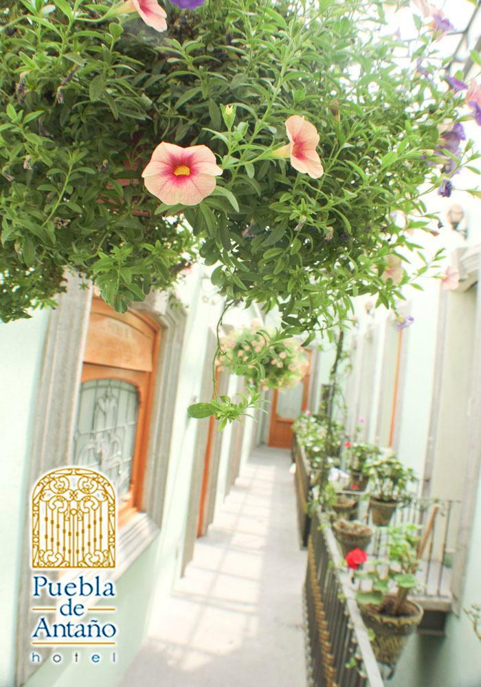 Hotel Puebla De Anta�o
