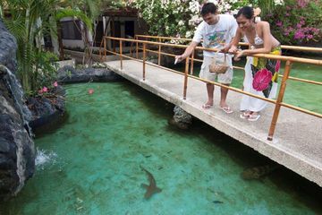 Hotel Maribago Blue Water
