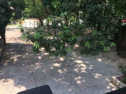 Hotel Sevilla Palenque