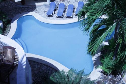 Apartamentos Blue Palms By Kamuvan