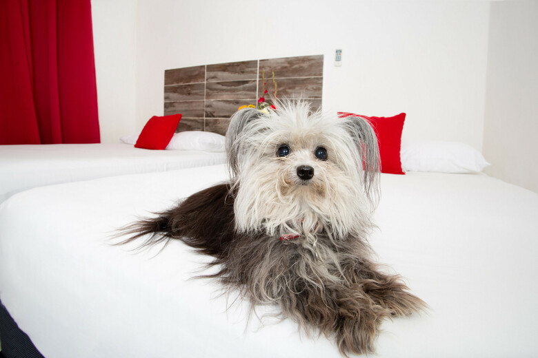 Aparthotel Suite 24 Hotel Boutique