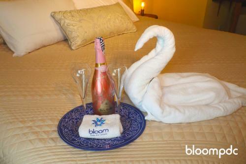 Bloom! Exclusive Boutique B&B
