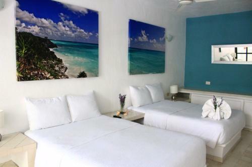 Apart Hotel Tortuga