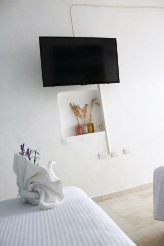 Apart Hotel Tortuga
