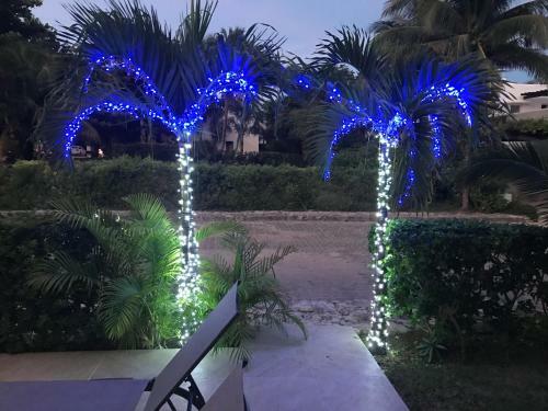 Casa Blanca Vacation Home Rental