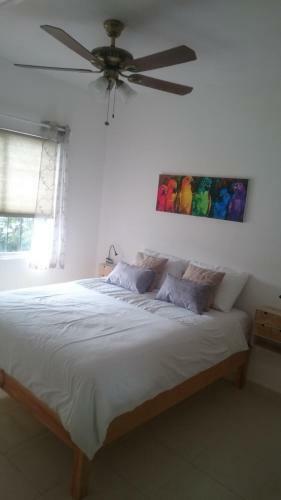 Real Ibiza's Apartment