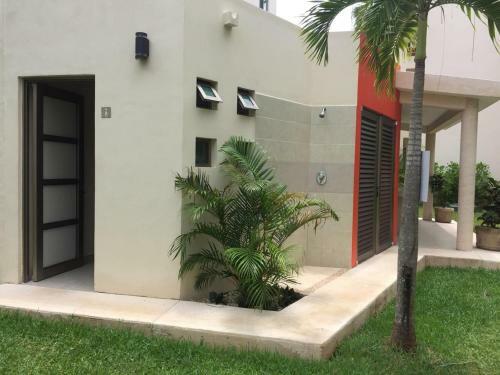 Apartamento Departamento Palmeira