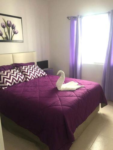Beautiful 3 Bedroom Apartment