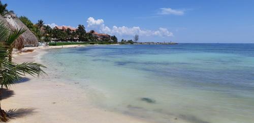 Bed & Breakfast Villa Susana - Beach Front House