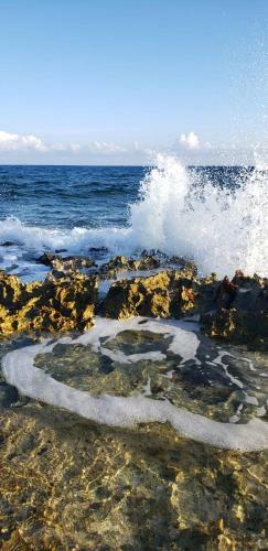 Bed & Breakfast Villa Susana - Beach Front House