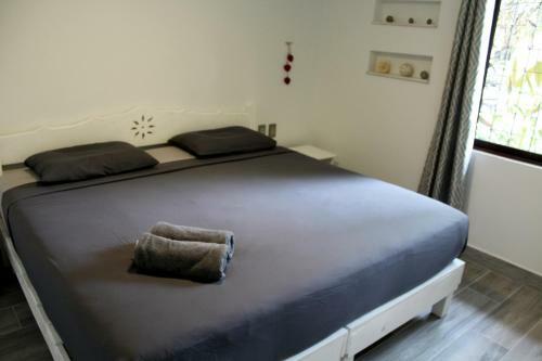 Apartamento Casa Anthilia