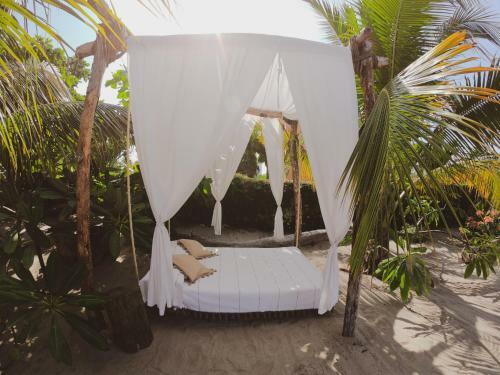 Hostal La Playita Beach House