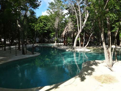 Tropical Paradise Apartment