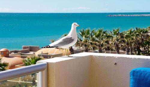Apartamento Grande 405 Condo