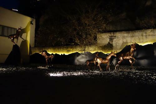 Hostal H�tel Le Grand Tetras