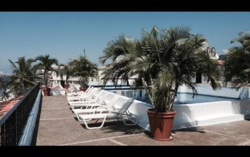 Apartamento La Palapa Unit #406 Apts