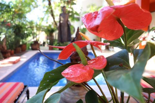 Hotel Poshtel Villa Sevilla