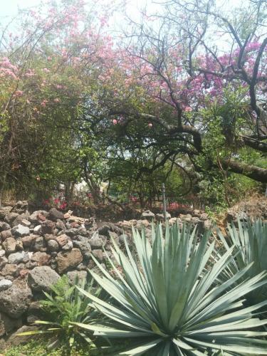 Lodge Casita De La Miel