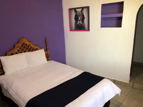 Mi Hostelito