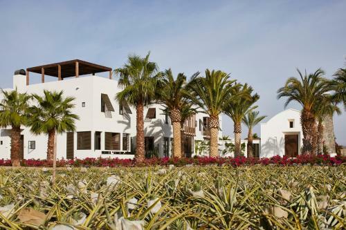 Hotel San Cristobal Adults 15+