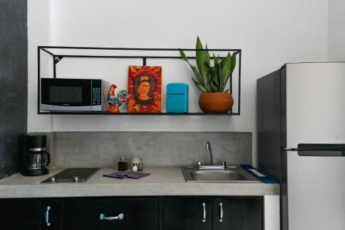 Gallo Azul, Downtown Loft Style Apartment