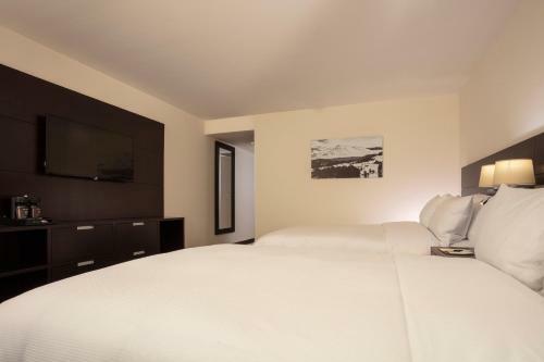 Hotel Doubletree By Hilton Toluca