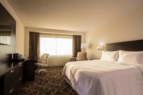 Hotel Doubletree By Hilton Toluca