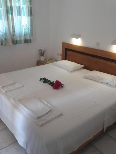 Hotel Golden Dream Apartments
