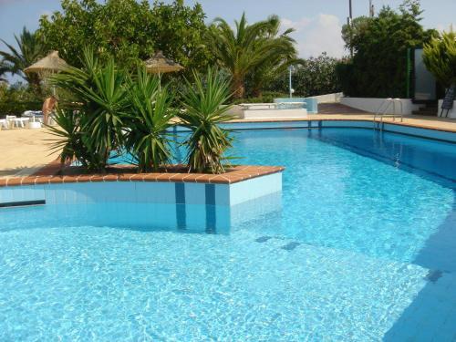 Hotel Golden Dream Apartments