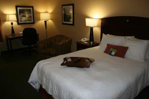 Hotel Hampton Inn Longmont