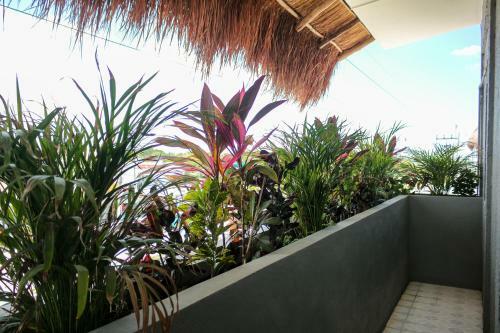 Aruma Hotel & Boutique