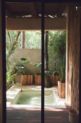 Hotel Orchid House Tulum