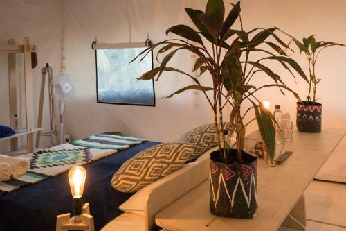 Albergue Cozy Private Glamping