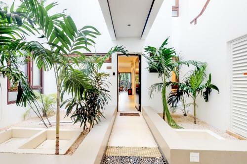 Apartamento Hira 5 Condo