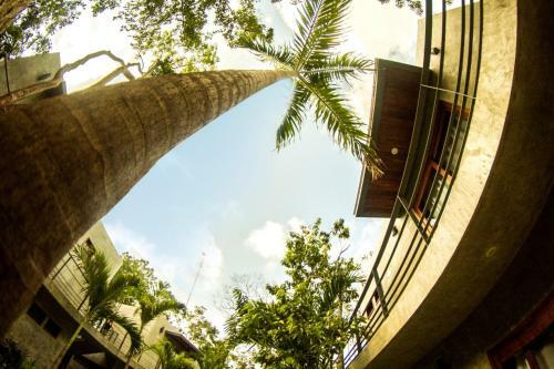 Hotel Solera Tulum