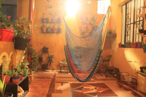 Apartamento El Jardin De Iris Tulum Penthouse