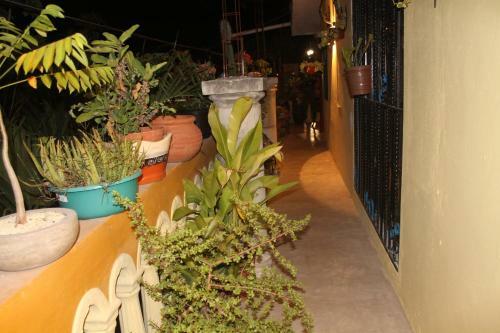 Apartamento El Jardin De Iris Tulum Penthouse
