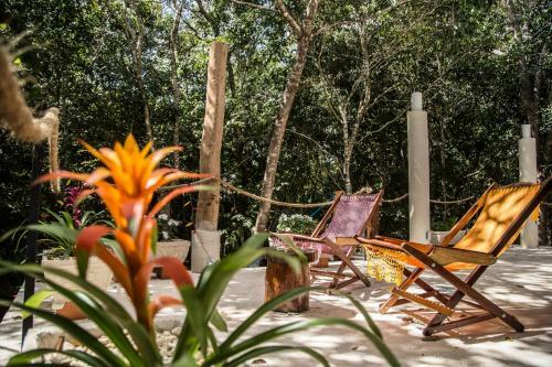 Bed & Breakfast La Selva Mariposa