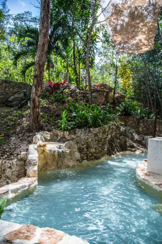 Bed & Breakfast La Selva Mariposa