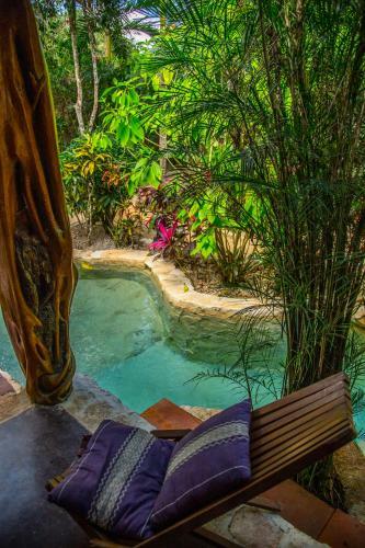 Bed & Breakfast La Selva Mariposa