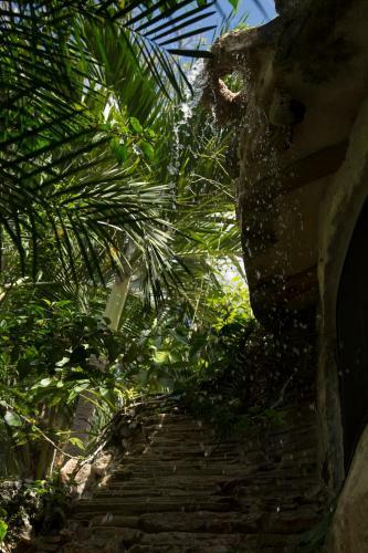 Bed & Breakfast La Selva Mariposa